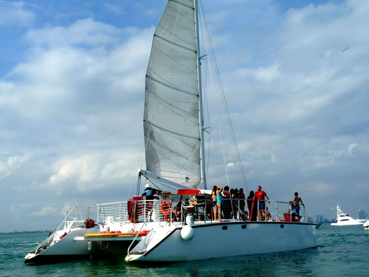 Corporate catamaran charter sailing past Miami skyline